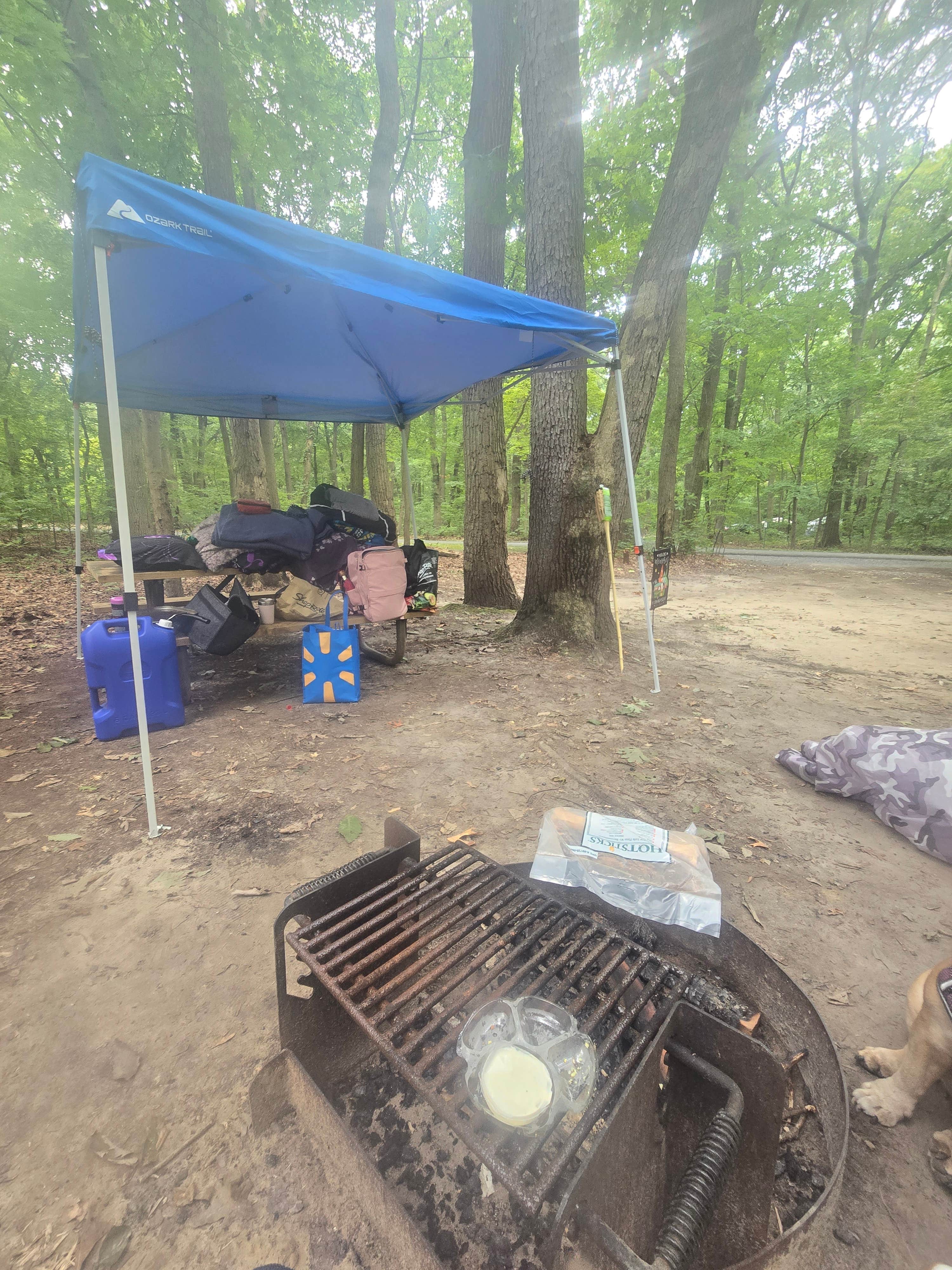 Camper-submitted photo at Cheesequake State Park Campground near Wall, NJ