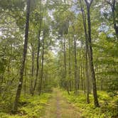 Review photo of High Point State Park Campground by Damia F., August 29, 2025