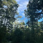 Review photo of High Point State Park Campground by Damia F., August 29, 2025