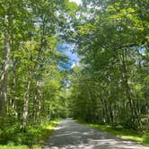 Review photo of High Point State Park Campground by Damia F., August 29, 2025