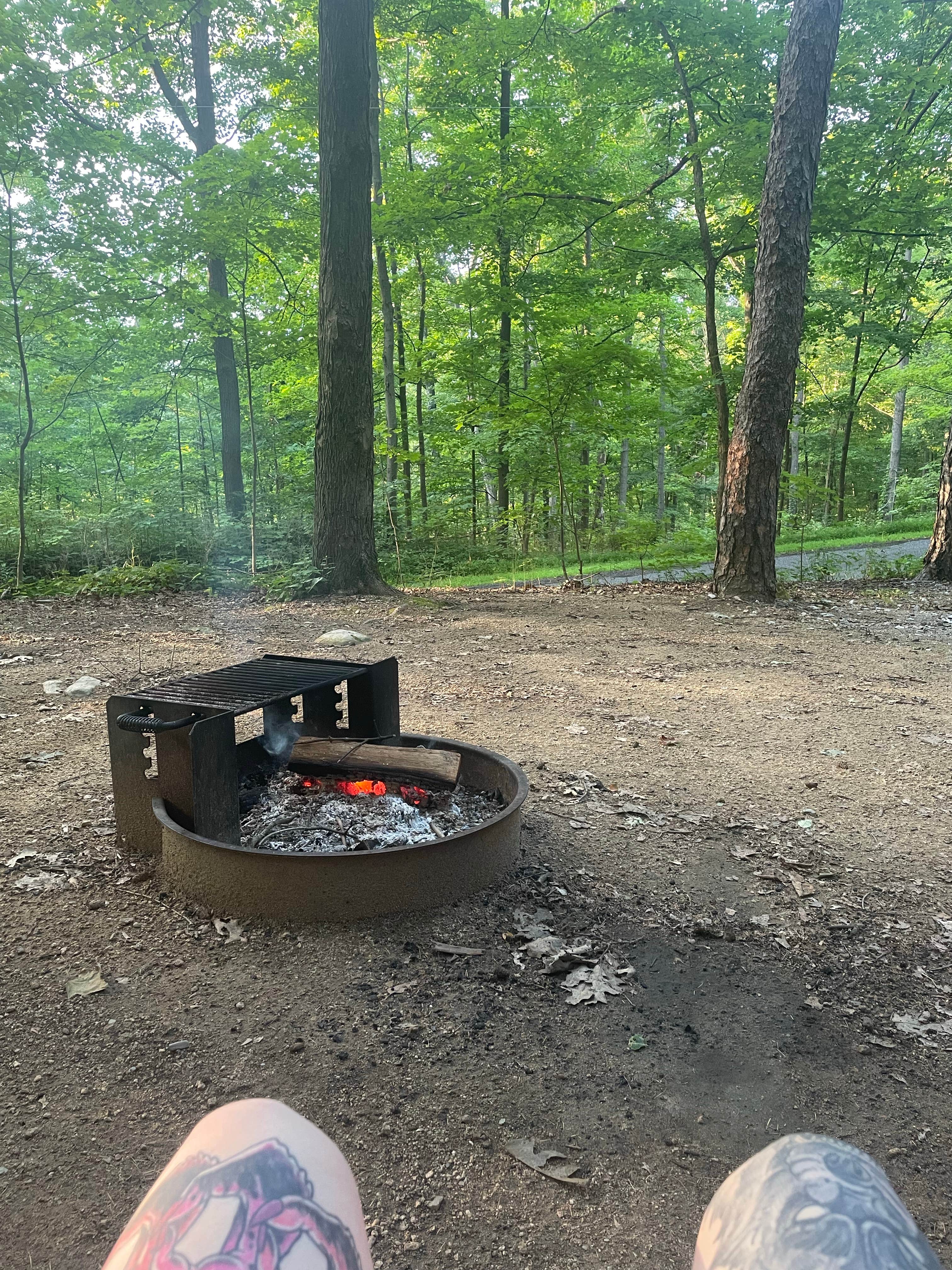 Damia F.'s photo at Jenny Jump State Forest near Tewksbury, NJ