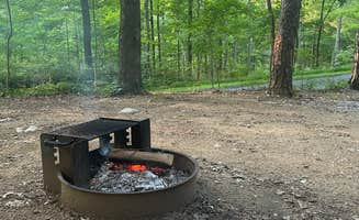 Damia F.'s photo at Jenny Jump State Forest near Hopatcong, NJ