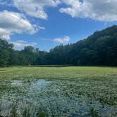 Review photo of Jenny Jump State Forest by Damia F., July 13, 2024