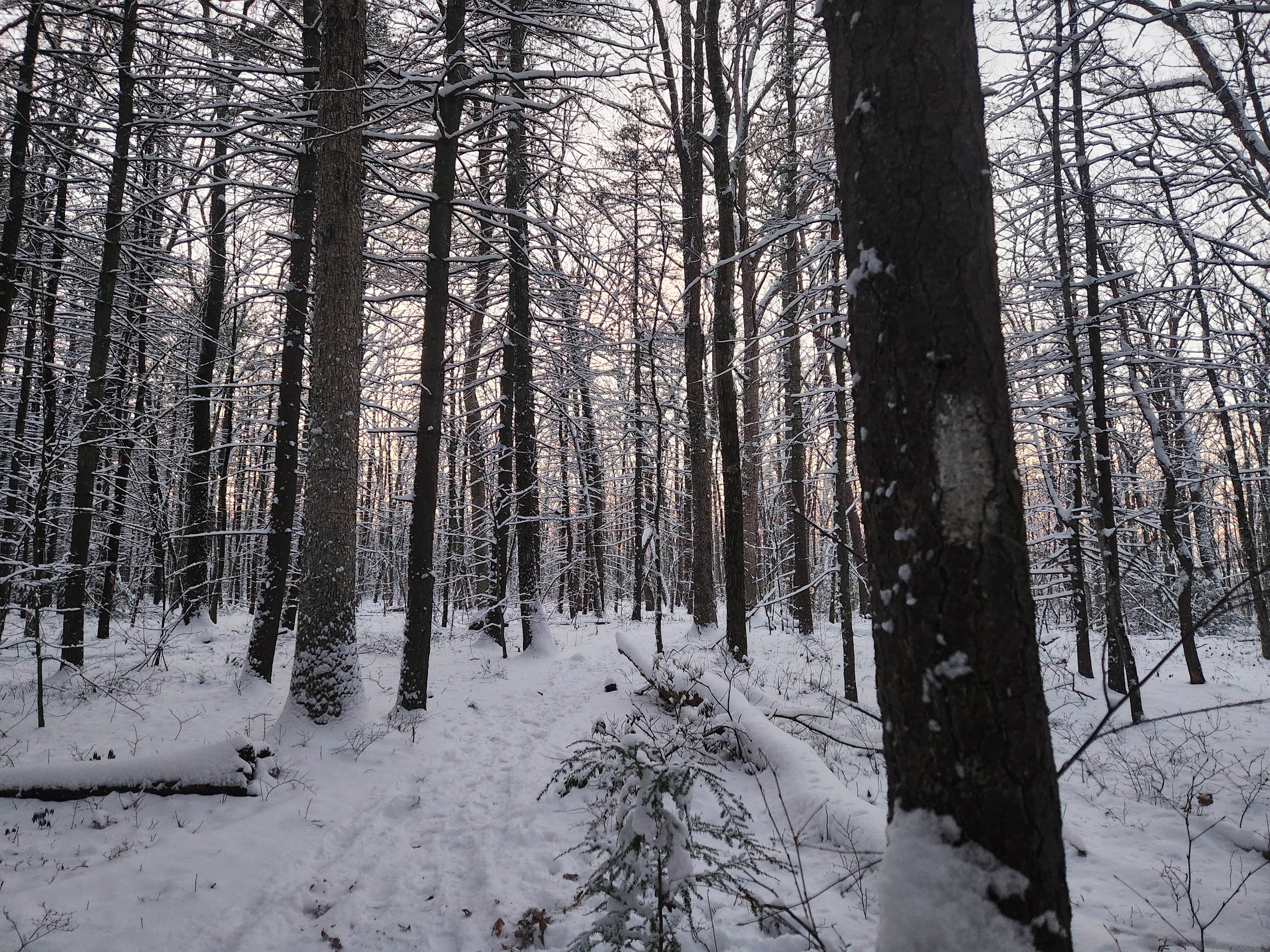 Camper-submitted photo at Shotwell near Delaware Water Gap National Recreation Area
