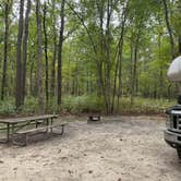 Review photo of Turkey Swamp Park by Shawn , September 29, 2025