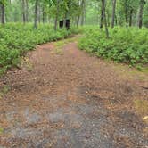Review photo of Godfrey Bridge — Wharton State Forest by ryan H., July 11, 2026