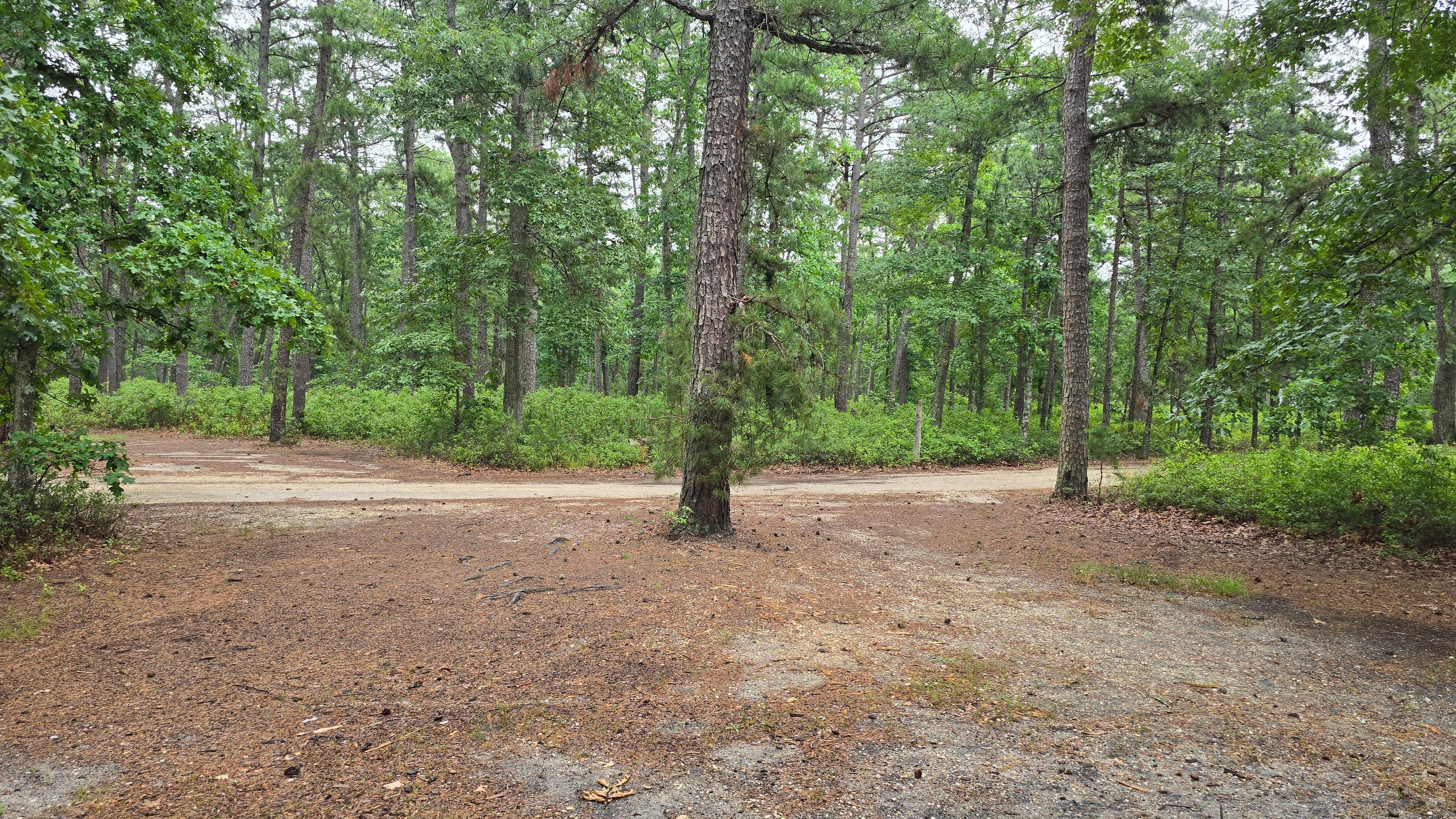 Camper-submitted photo at Godfrey Bridge — Wharton State Forest near Manahawkin, NJ