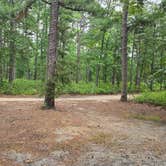 Review photo of Godfrey Bridge — Wharton State Forest by ryan H., July 11, 2026