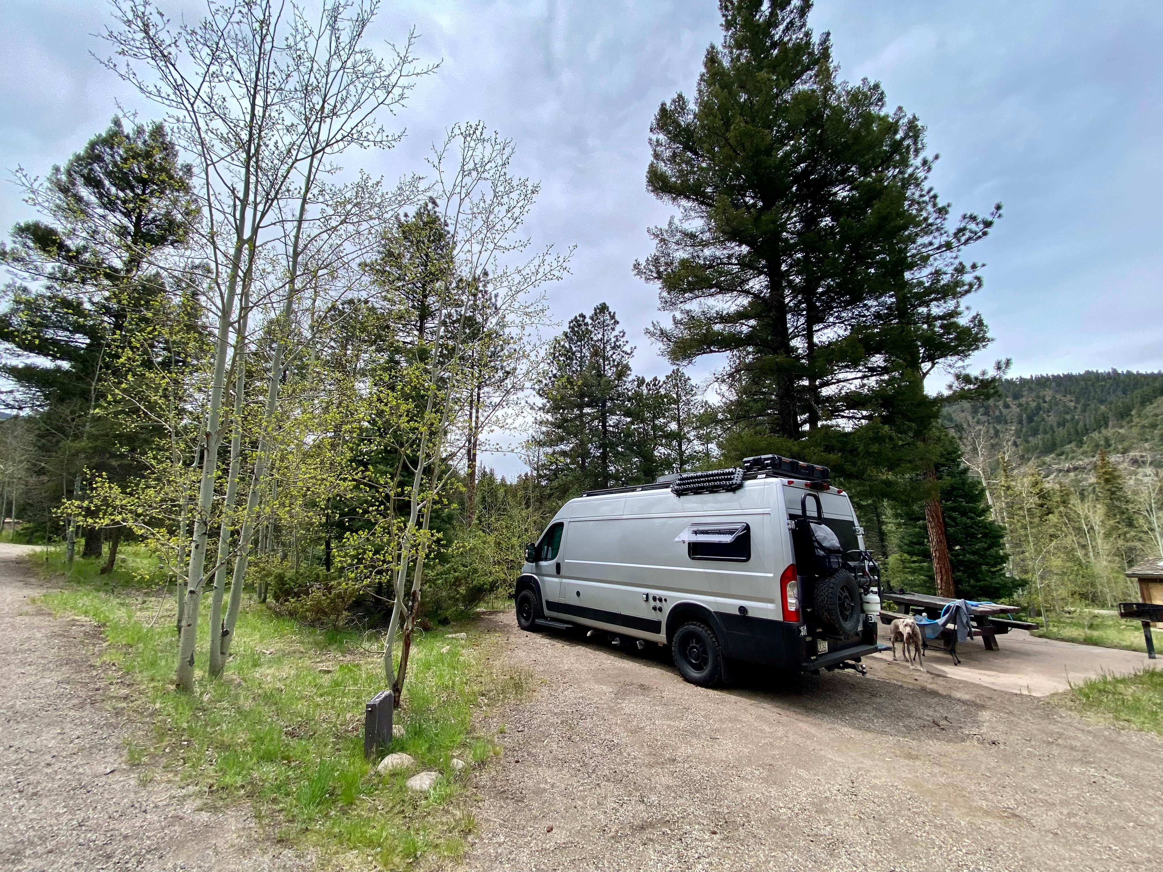 Julie F.'s photo of camping with pets at Agua Piedra Campground near Taos, NM