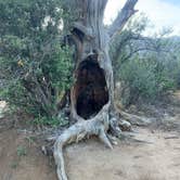 Review photo of Aguirre Spring Recreation Area and Campground by Rodger Terence E., March 29, 2026