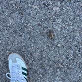 Review photo of Aguirre Spring Recreation Area and Campground by Katey B., November 7, 2025