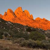 Review photo of Aguirre Spring Recreation Area and Campground by Katey B., November 7, 2025