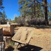 Review photo of Apache Creek Campground by Outdoors U., April 27, 2025