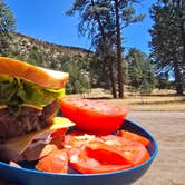 Review photo of Apache Creek Campground by Outdoors U., April 27, 2025