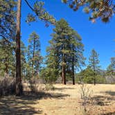 Review photo of Apache Creek Campground by Brandon Da Garbage Disposal C., April 27, 2025