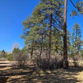 Review photo of Apache Creek Campground by Outdoors U., April 27, 2025