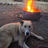 Review photo of Apache Creek Campground by Renee T., April 18, 2025