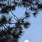 Review photo of Apache Creek Campground by Renee T., April 18, 2025
