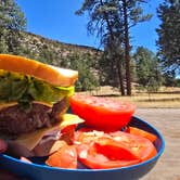 Review photo of Apache Creek Campground by Brandon Da Garbage Disposal C., April 27, 2025