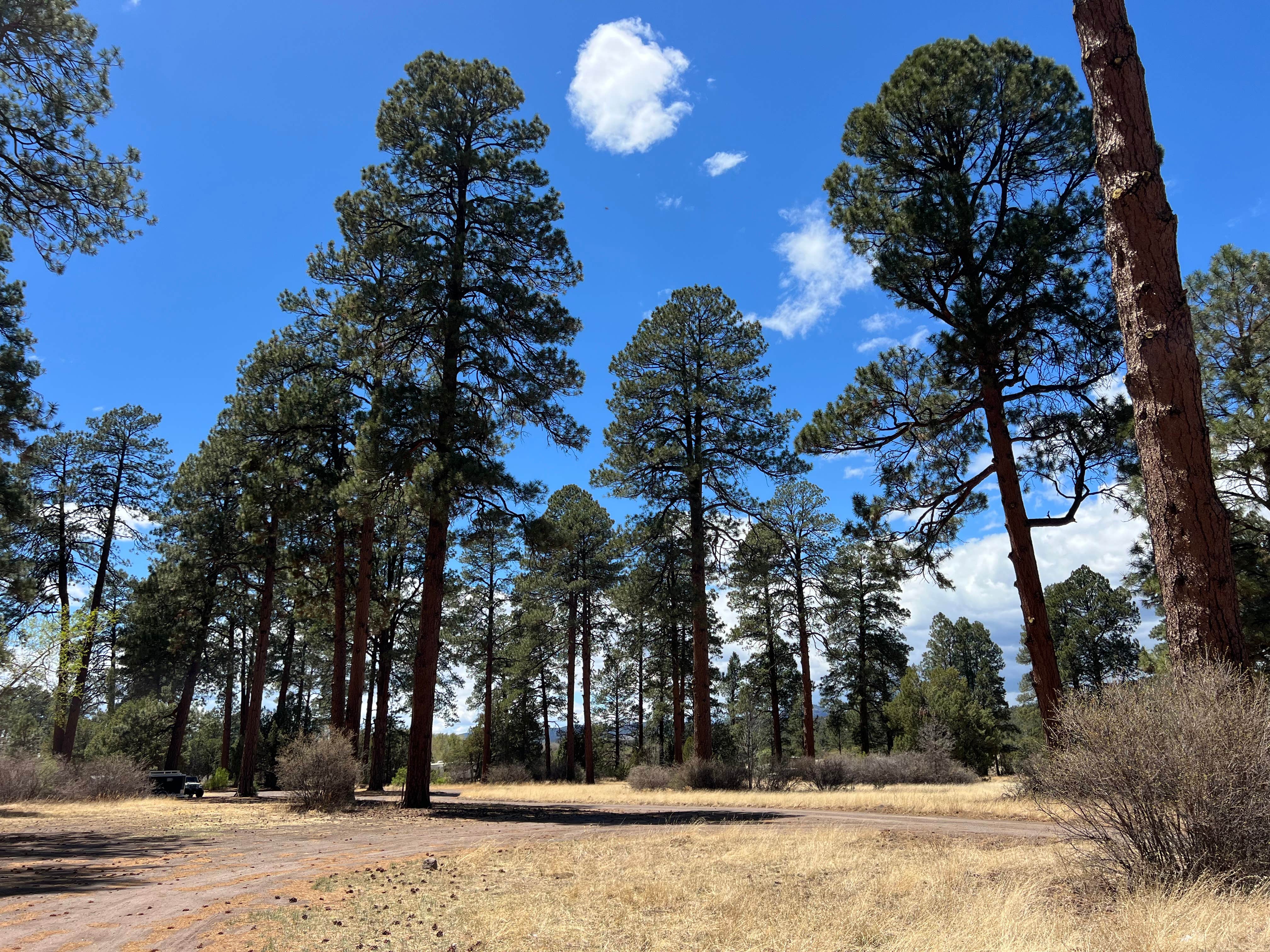 Apache Creek Campground