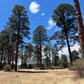 Review photo of Apache Creek Campground by Meghan B., May 7, 2025