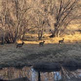 Review photo of Apache Creek Campground by Renee T., April 18, 2025