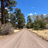 Review photo of Apache Creek Campground by Meghan B., May 7, 2025