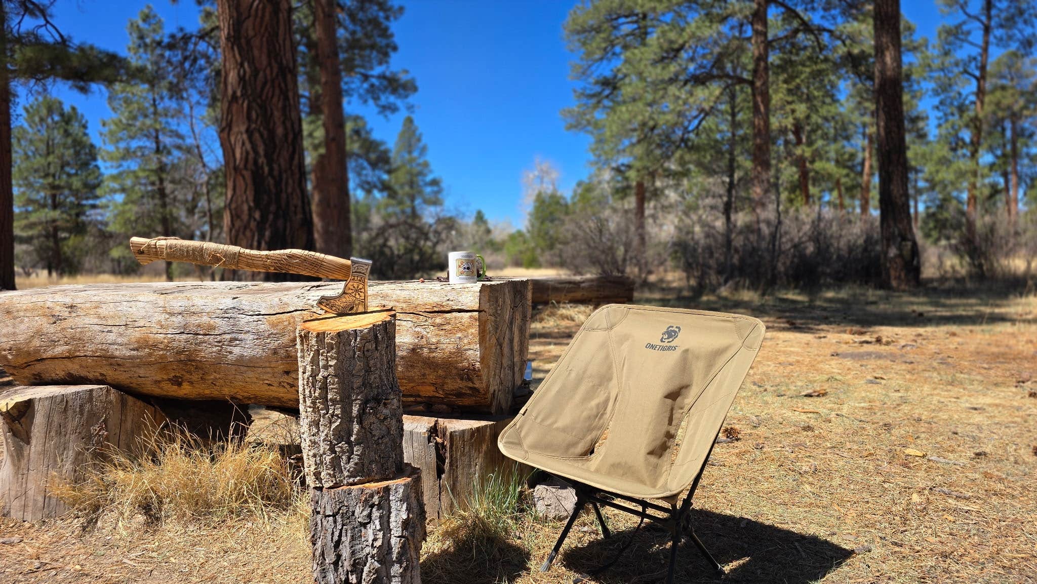 Camper-submitted photo at Apache Creek Campground near Reserve, NM