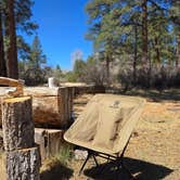 Review photo of Apache Creek Campground by Brandon Da Garbage Disposal C., April 27, 2025