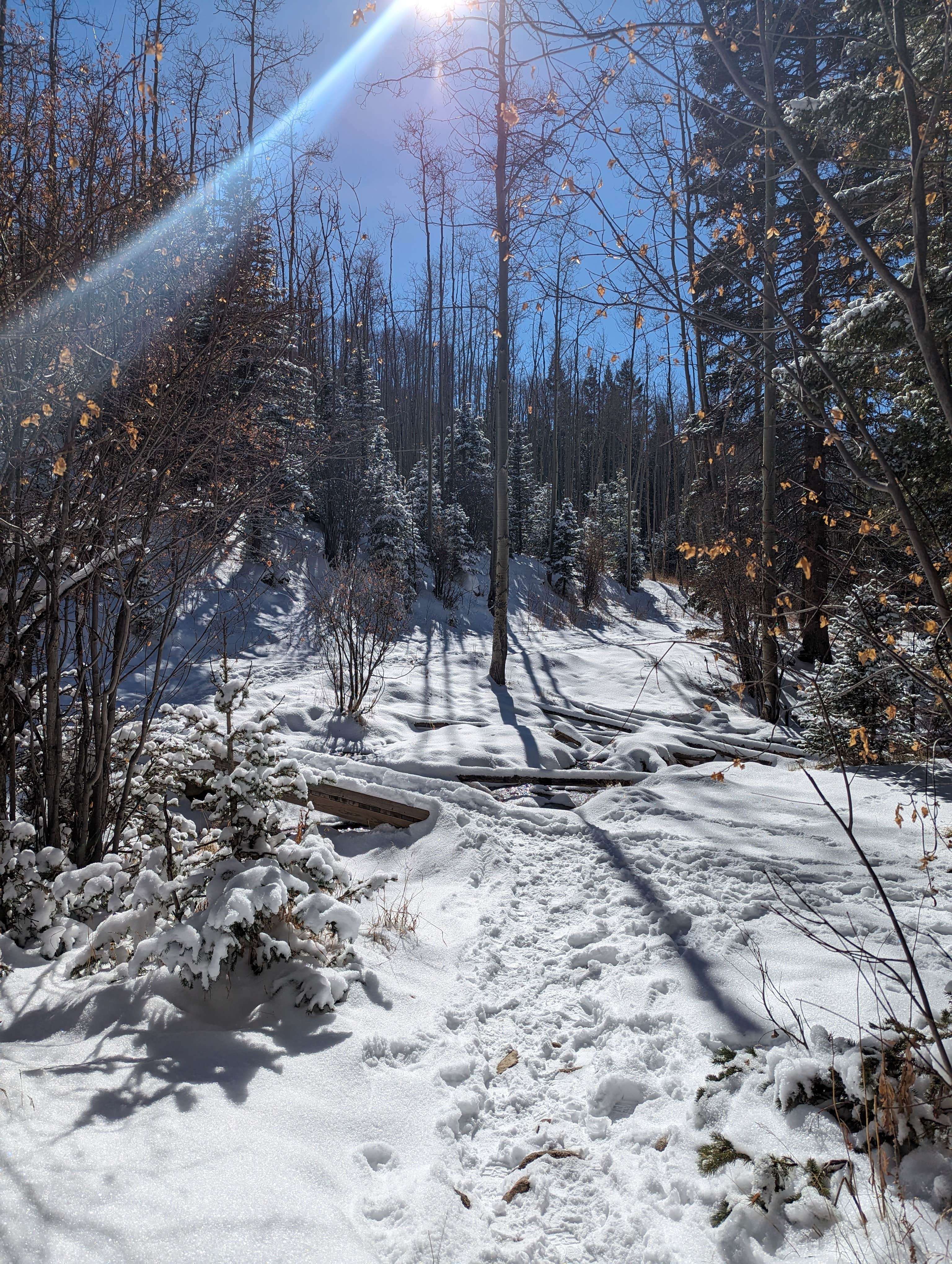 Camper-submitted photo at Big Tesuque Campground near Tererro, NM