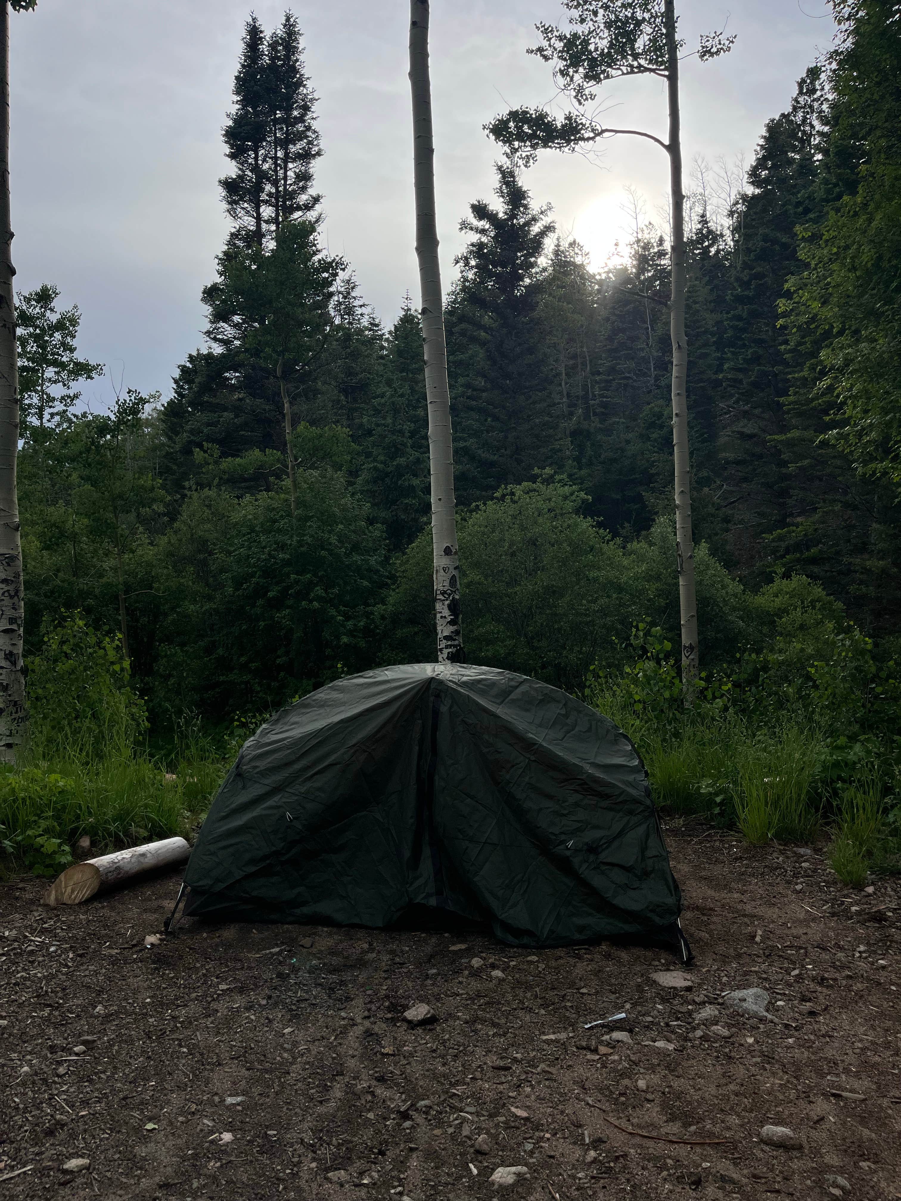 Bailey B.'s photo at Big Tesuque Campground near Eldorado at Santa Fe, NM