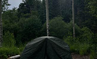 Bailey B.'s photo of tent camping at Big Tesuque Campground near Llano, NM