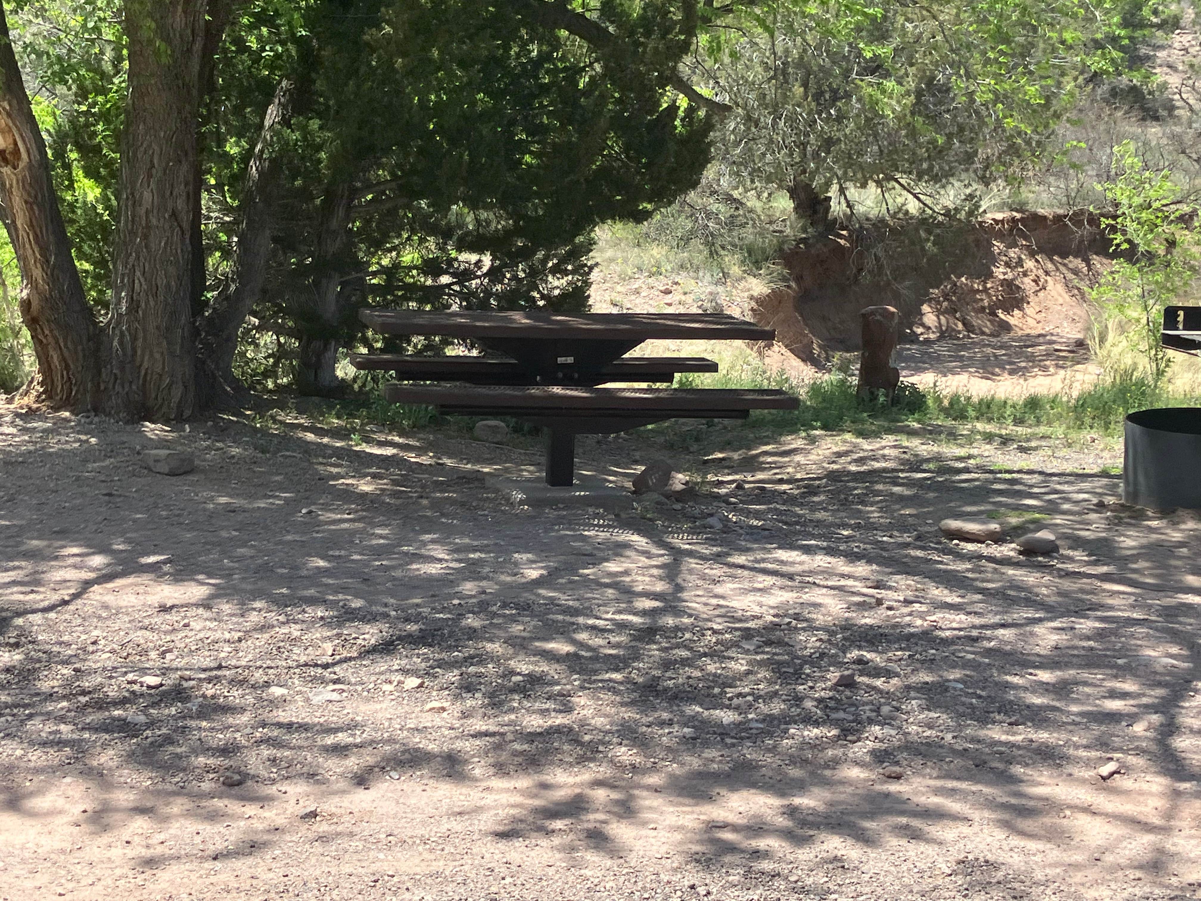 Camping near Owl Creek Campground: Bighorn Campground, Glenwood, New Mexico