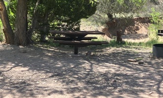 Camping near Dipping Vat Campground: Bighorn Campground, Glenwood, New Mexico
