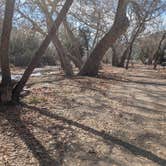 Review photo of Bighorn Campground by Vidalia S., February 5, 2026