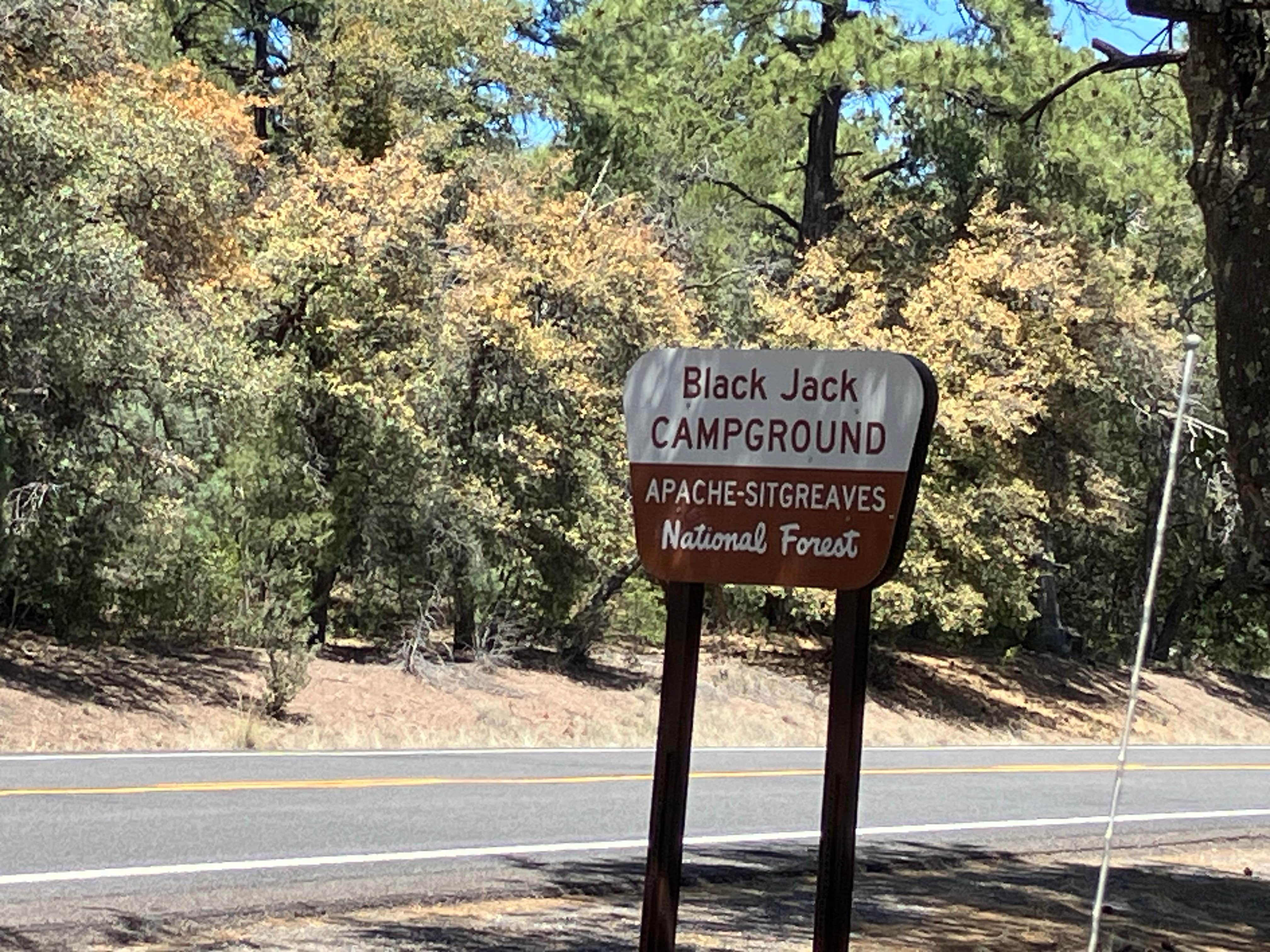 Camper-submitted photo at Bighorn Campground near Gila National Forest