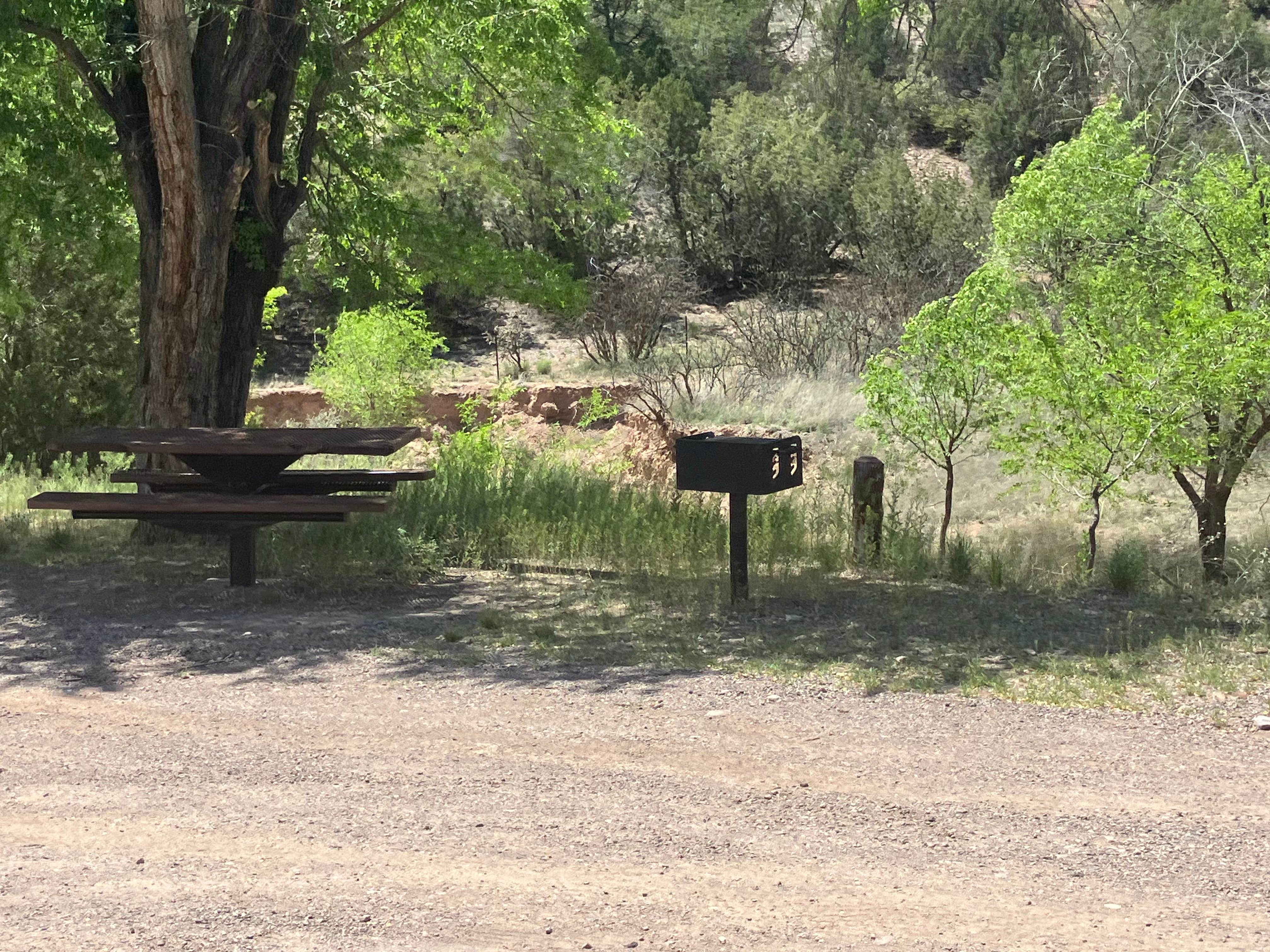 Camper submitted image from Bighorn Campground - 4