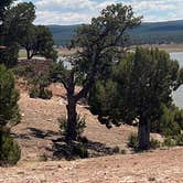 Review photo of Bluewater Lake State Park Campground by Mark S., July 15, 2026
