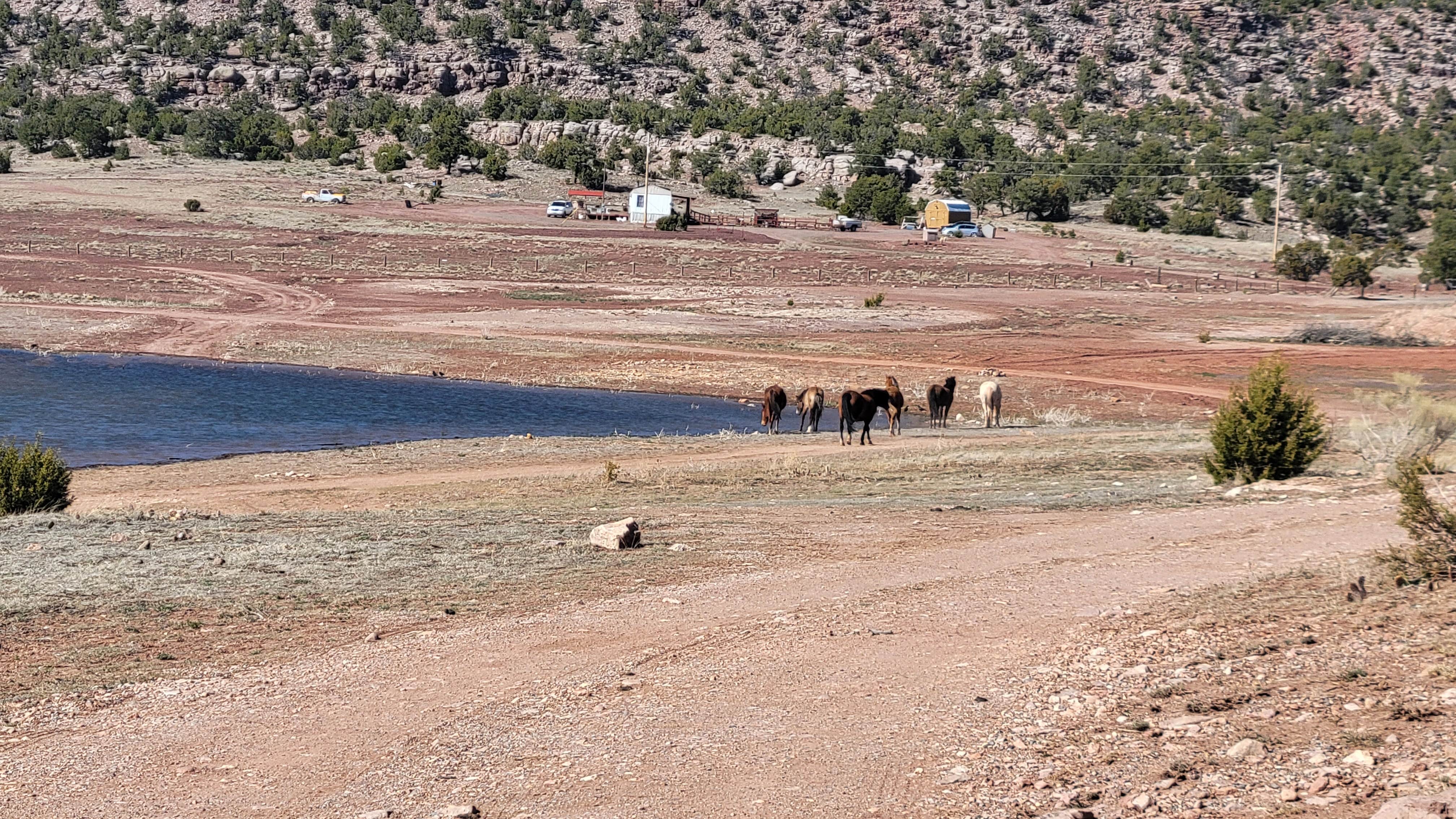 Jennifer W.'s photo of camping with a horse at Bluewater Lake State Park Campground near Gallup, NM