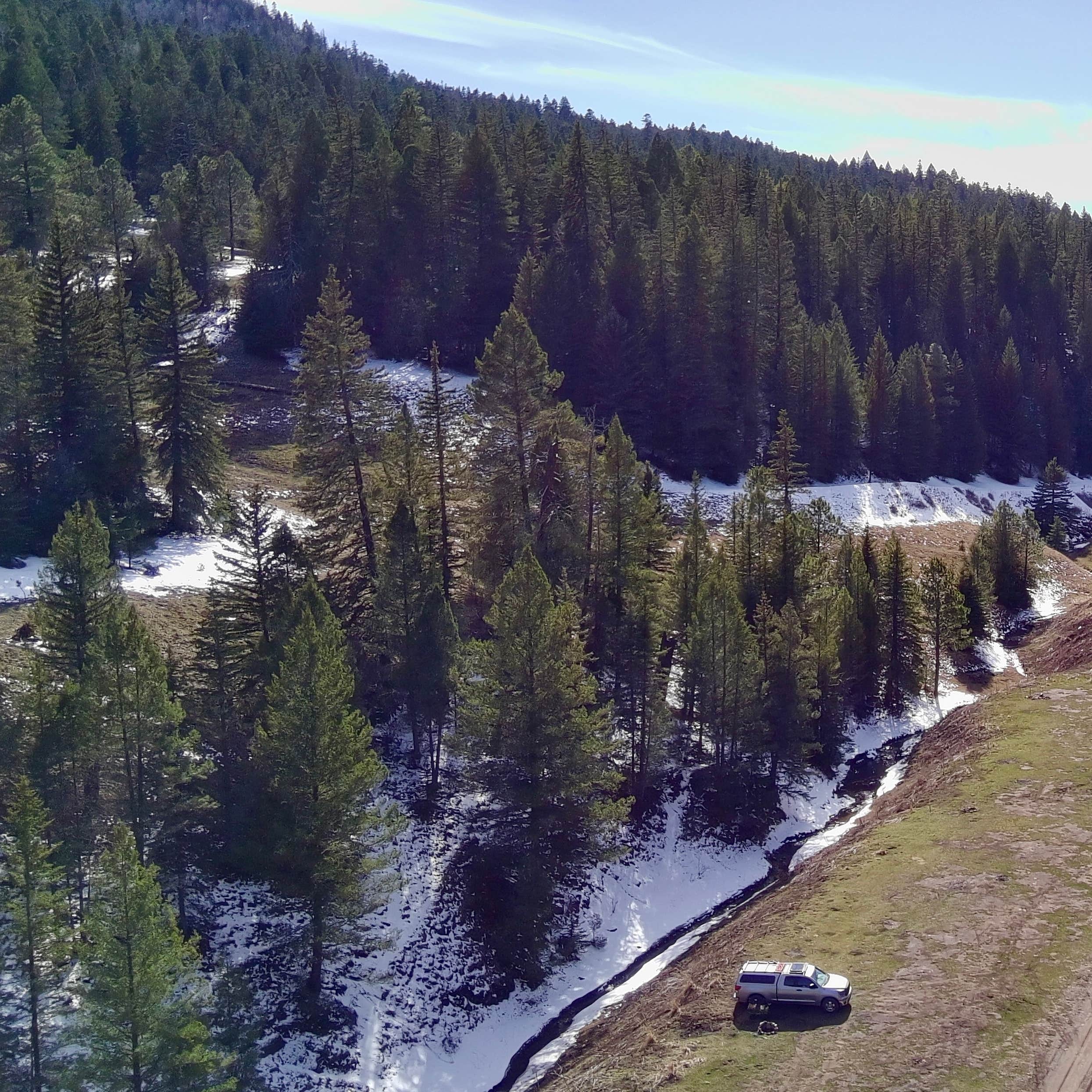 Bluff Springs Dispersed Camping Cloudcroft, NM