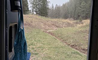 imnotpriscilla's photo of a dispersed camping area at Bluff Springs Dispersed Camping near Alamogordo, NM