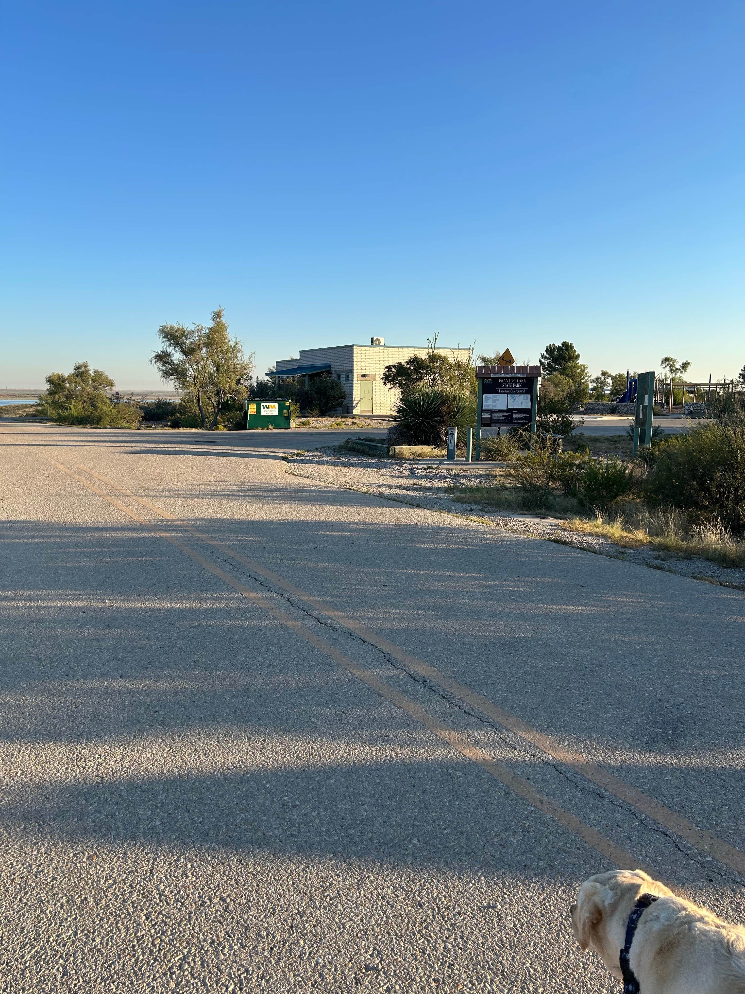 Brenda L.'s photo of camping with pets at Limestone Campground — Brantley Lake State Park near Dexter, NM