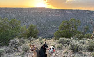 Emily S.'s photo of camping with pets at Cebolla Mesa Campground near Taos, NM