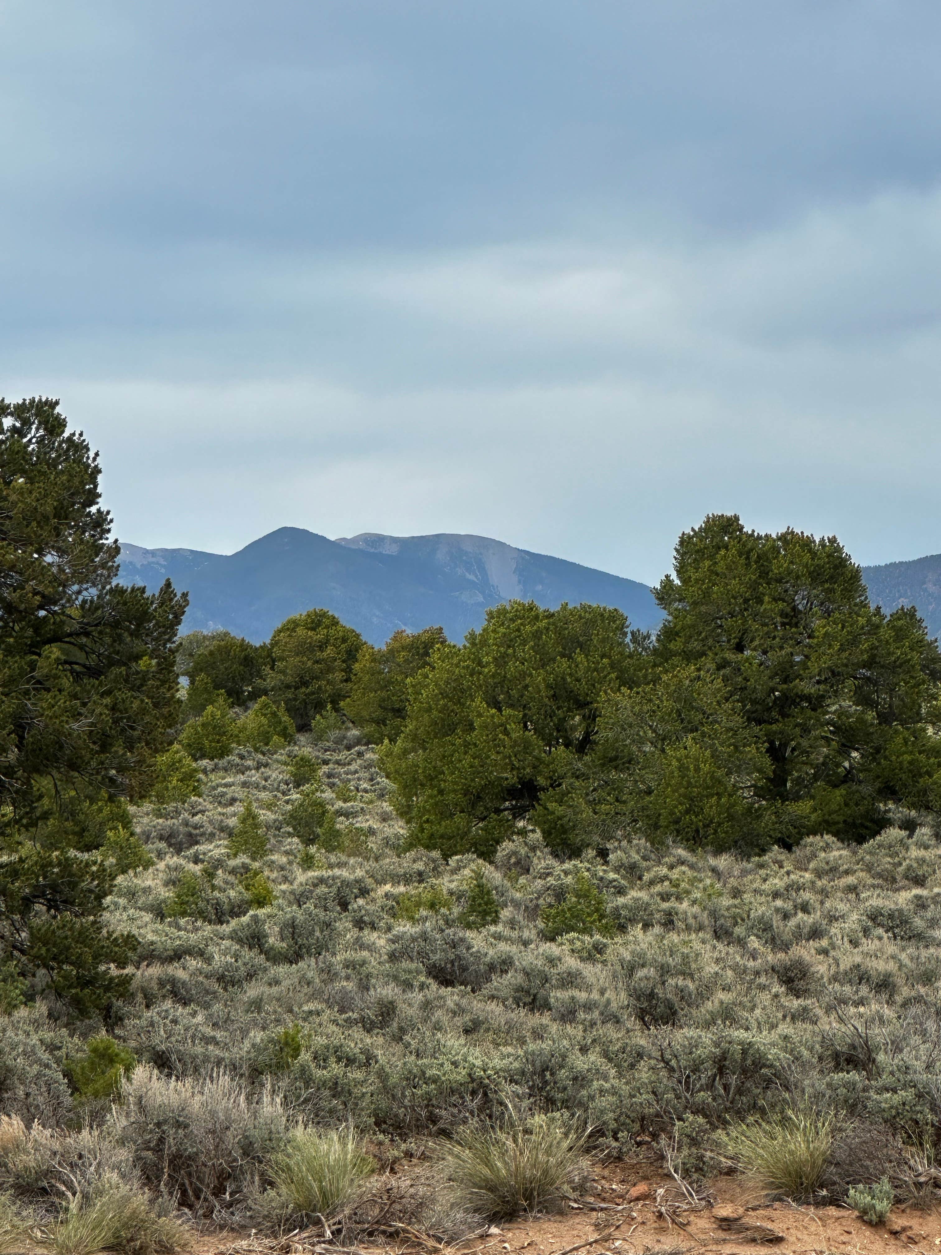 Camper-submitted photo at Cebolla Mesa Campground near Arroyo Seco, NM