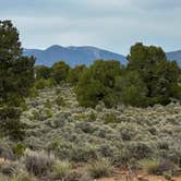 Review photo of Cebolla Mesa Campground by Tyler S., July 29, 2025