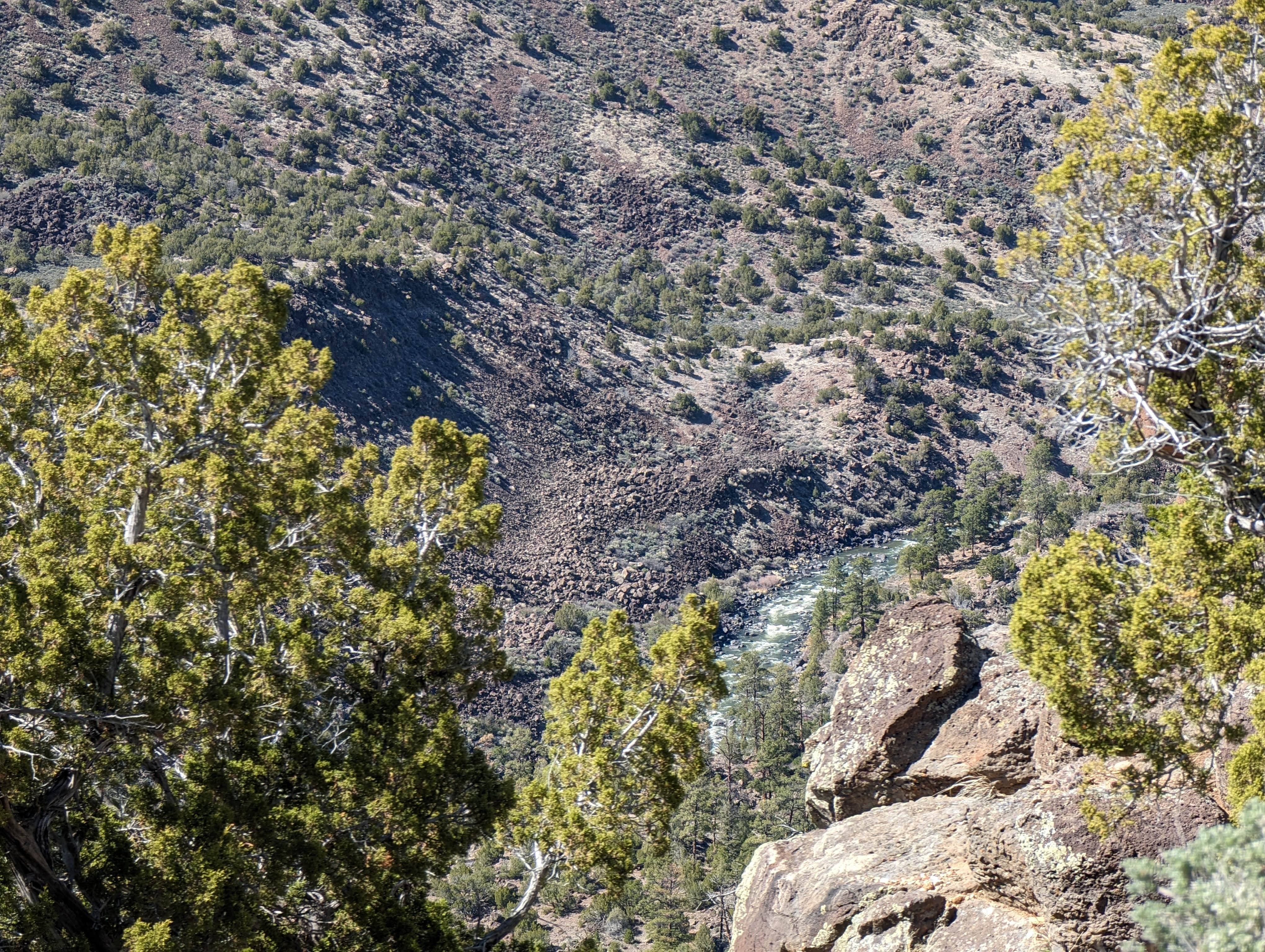 Camper-submitted photo at Cebolla Mesa Campground near Arroyo Seco, NM