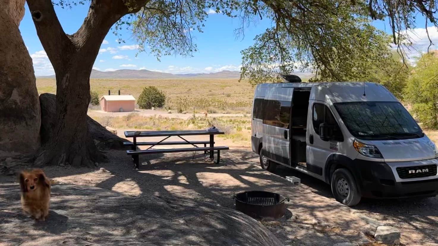 Cari E.'s photo of camping with pets at City of Rocks State Park Campground near Mimbres, NM