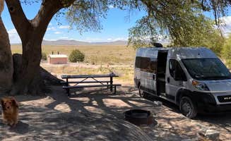 Cari E.'s photo of camping with pets at City of Rocks State Park Campground near Mimbres, NM