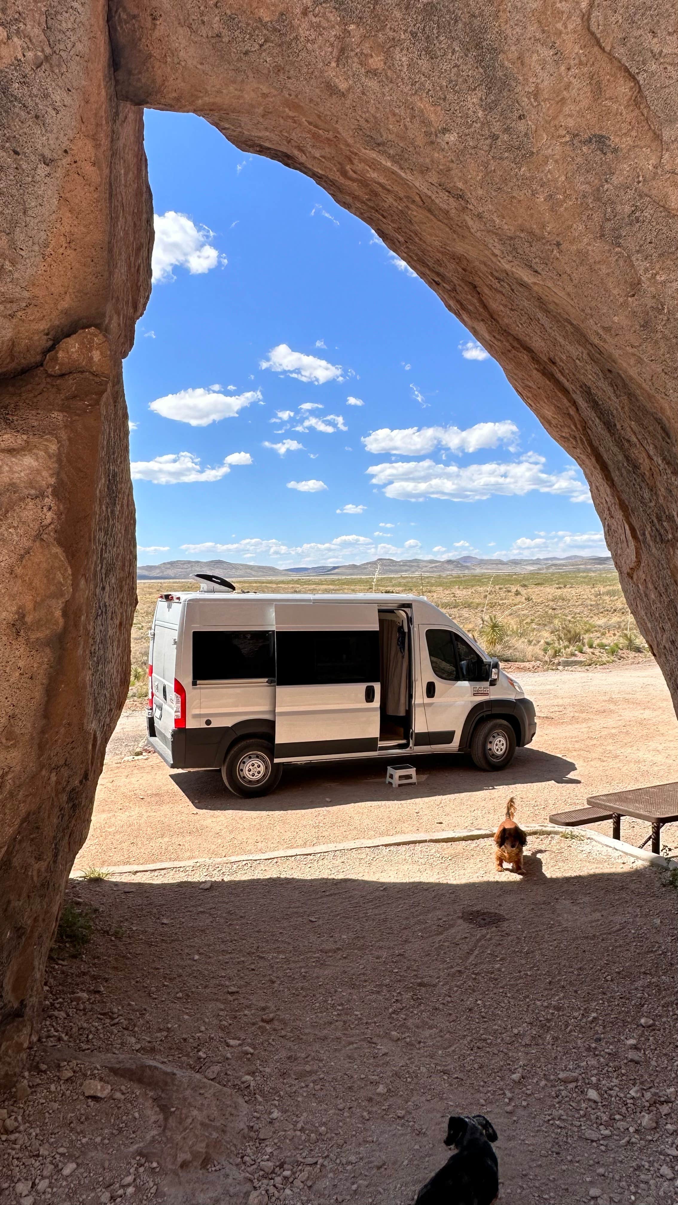 Cari E.'s photo of camping with pets at City of Rocks State Park Campground near Hillsboro, NM