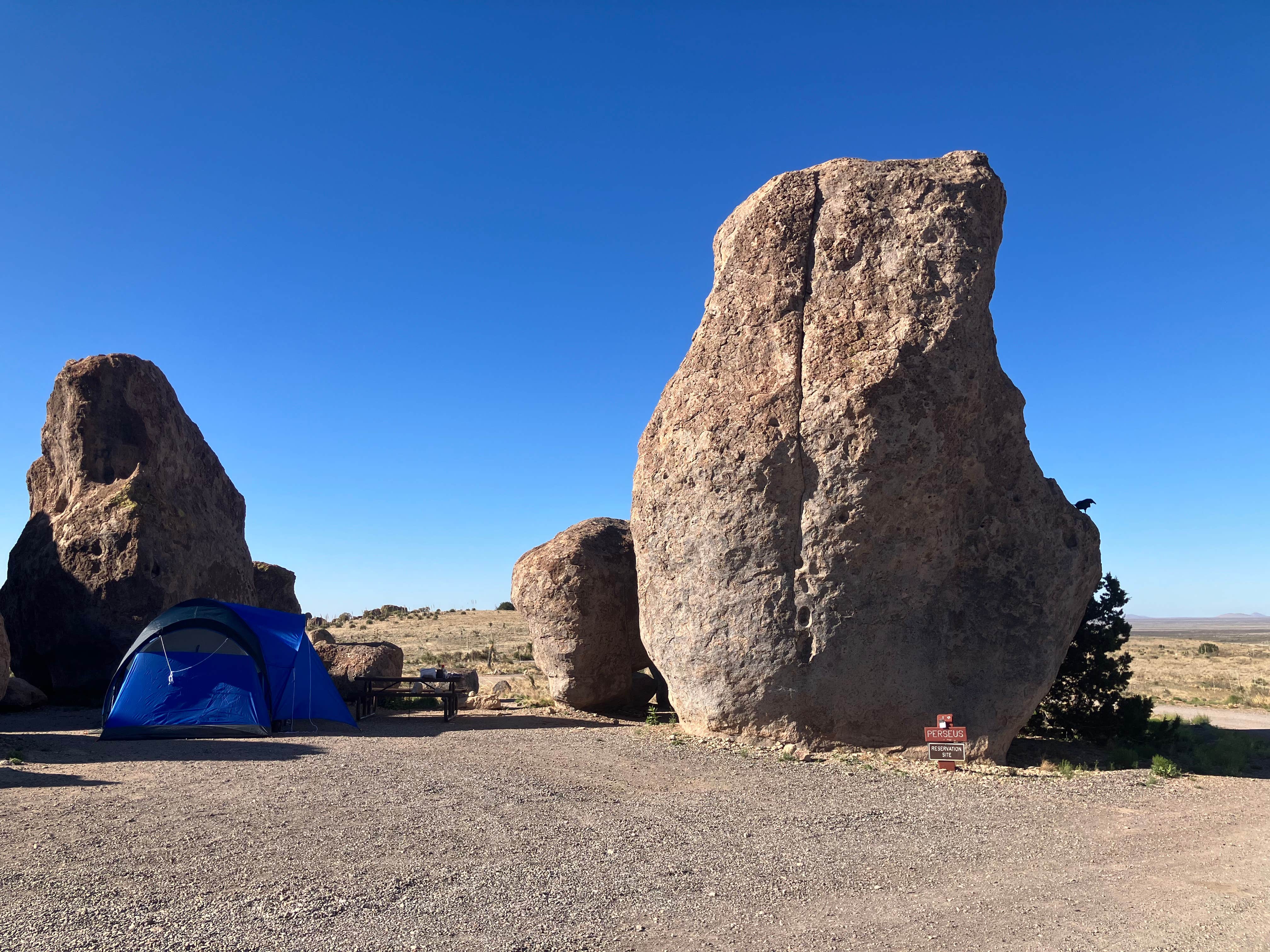 Roger W.'s photo at City of Rocks State Park Campground near Silver City, NM